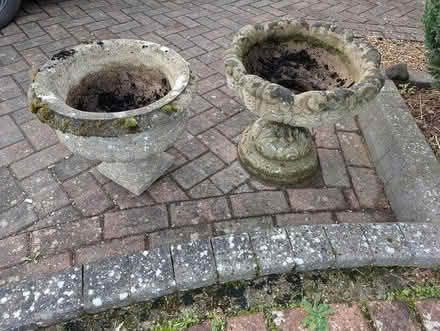 Photo of free Flower Planters (NR28) #3