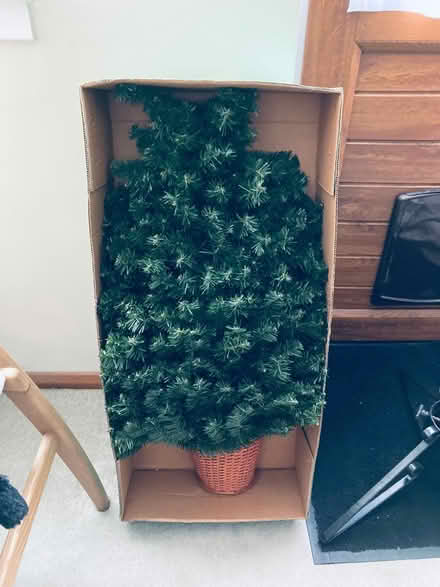 Photo of free Half Christmas Tree (Swanley BR8) #1