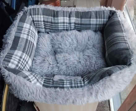 Photo of free Small dog or cat bed (Purbrook PO7) #1