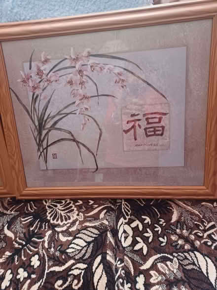 Photo of free 4 Chinese pics (Dawley TF4) #1