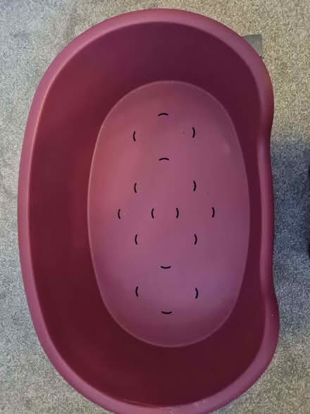 Photo of free Plastic dog bed 60cm (St Nicholas SG1) #3