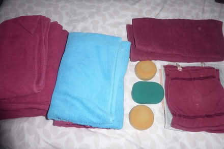 Photo of free pet blankets etc (Dean Court OX2) #1