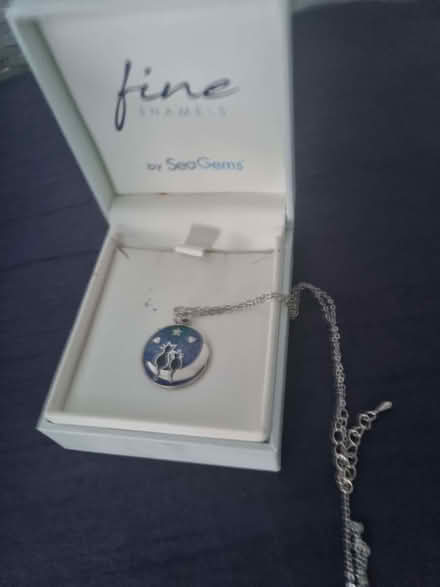 Photo of free Enammelled Oval Necklace (West Byfleet KT15) #2