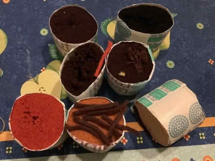 Photo of free Latch hook rug rolls of yarn (Wantage OX12) #1