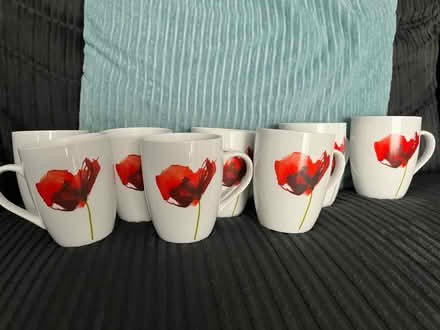 Photo of free Poppy mugs (Chells Manor SG2) #1
