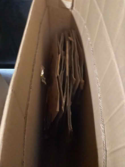 Photo of free Moving/Cardboard boxes, bubble wrapping, packaging paper (Stone Cross BN23) #2