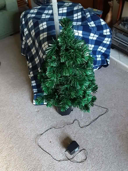 Photo of free Fibre Optic Christmas Tree (Great Moor SK7) #1