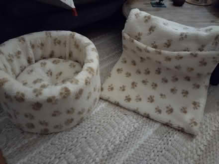 Photo of free Cat bed and radiator hammock (Stroud Green N4) #1