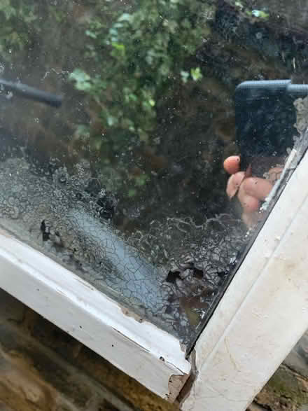 Photo of free Garden Mirror (Blackheath SE3 7DH) #4