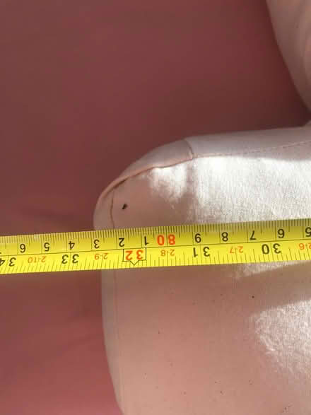 Photo of free Feather chair cushion (SG6) #4