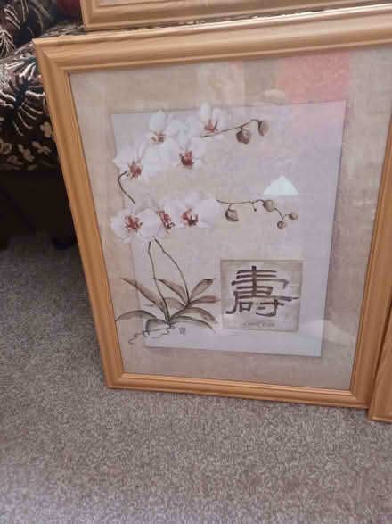 Photo of free 4 Chinese pics (Dawley TF4) #2