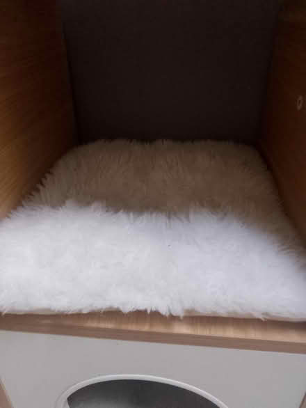 Photo of free Small cat bed (Woking) #3