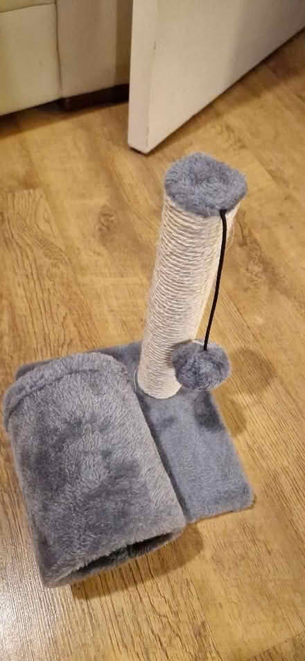 Photo of free Kitten scratching post (Horndean PO8) #2