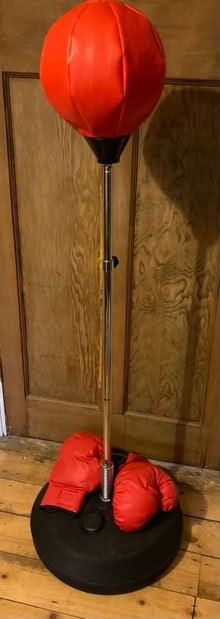 Photo of free Boxing ball (Moulsecoomb BN2) #1