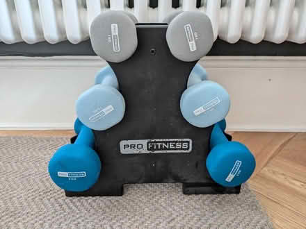 Photo of free Lightweight dumbbell tree & weights (Grove Park SE9) #1
