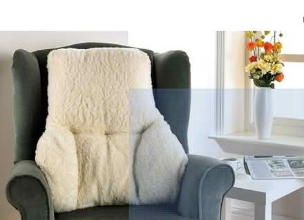 Photo of free Fleece Lumbar Support Cushion (Leith EH6) #1