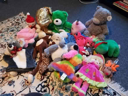 Photo of free Soft toys (Carlton/Gedling NG4) #1