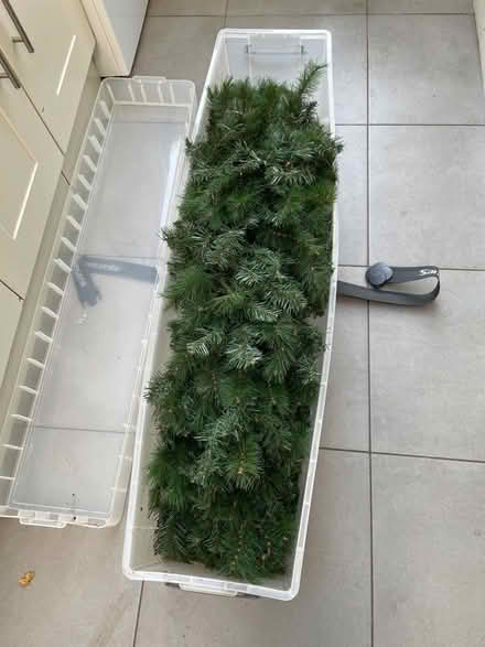 Photo of free Christmas tree. (Crouch End N8) #2