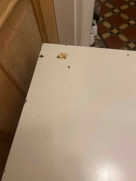 Photo of free Bisley 10 drawer filing cabinet (Wimbledon (SW19)) #2