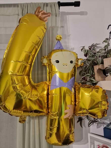 Photo of free Balloons (Homerton E9) #2