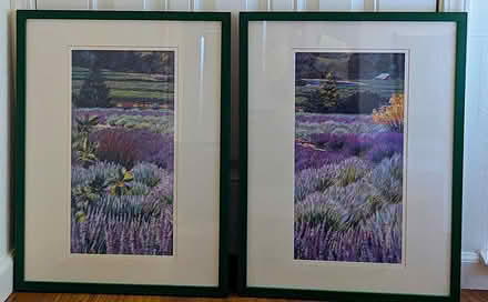 Photo of free Framed prints of lavender fields (Rossmoor) #1