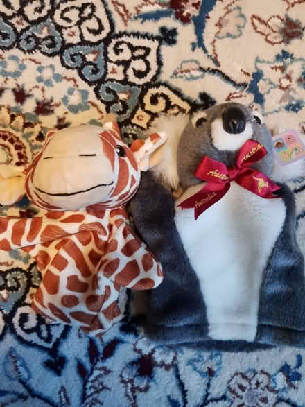 Photo of free Soft toys (Carlton/Gedling NG4) #4