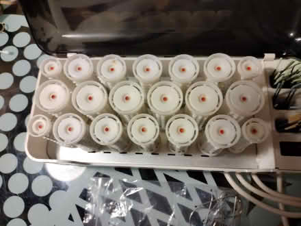 Photo of free Hair rollers (Chorley centre PR7) #2