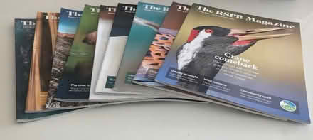 Photo of free RSPB Magazines (Radlett WD7) #1