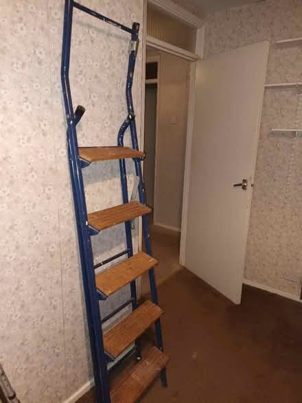 Photo of free stepladder (Bradbourne Lakes TN13) #1