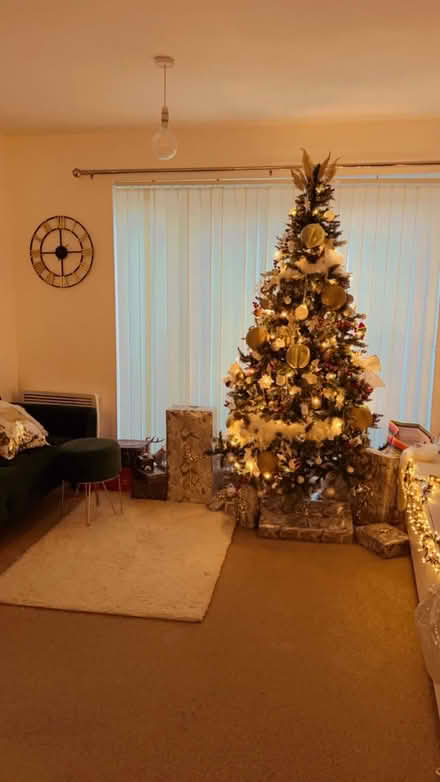 Photo of free Christmas Tree Decor (SE18) #1