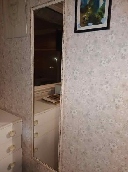 Photo of free mirror (Bradbourne Lakes TN13) #1