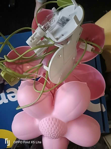 Photo of free Ikea flower wall light (Clifton wood) #1