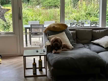 Photo of free Leather modular sofa (Ivy Hatch TN15) #2