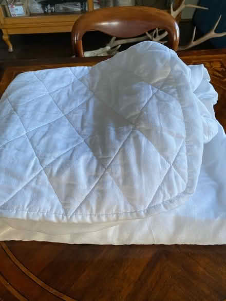 Photo of free Single mattress cover (Kingston Bagpuize OX13) #2