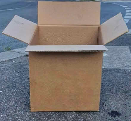 Photo of Cardboard moving boxs (Whipton Exeter) #1