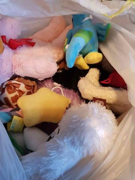Photo of free Soft toys (Carlton/Gedling NG4) #2