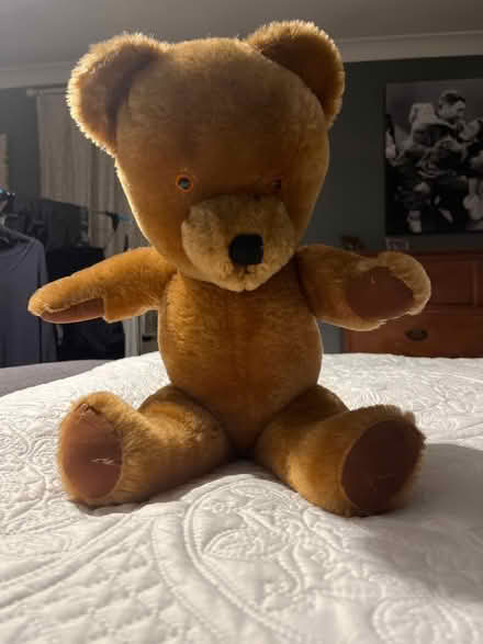 Photo of free Old Fashioned Teddy (Chesham HP5) #1