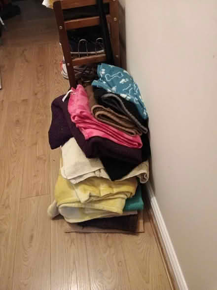 Photo of free Old towels (Intake DN2) #1