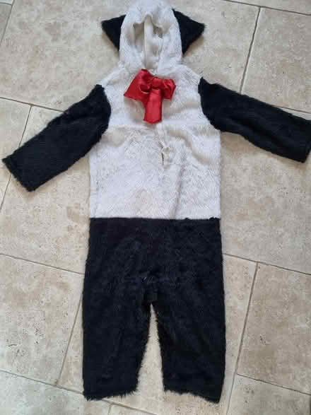 Photo of free Kids fancy dress outfit panda (CM2 springfield, chelmsford) #1