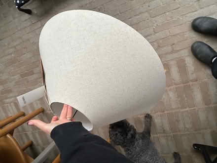 Photo of free Zara Home lamp shade (Walthamstow E17) #1