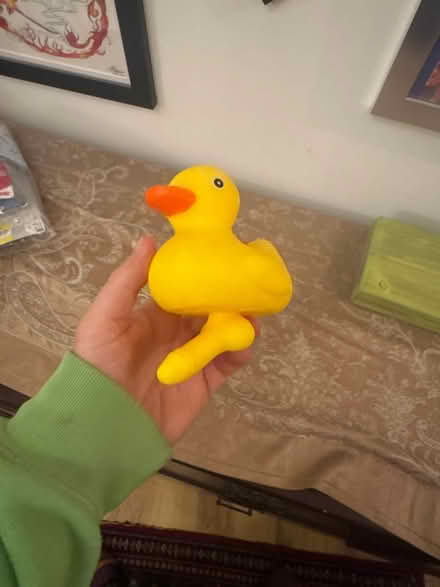 Photo of free Novelty Duck (Palmers Green N13) #1
