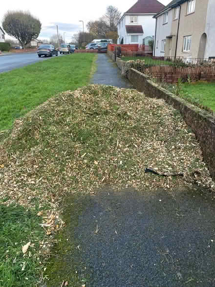 Photo of free Mulch for bedding or winter paths (Pentyrch CF15) #1