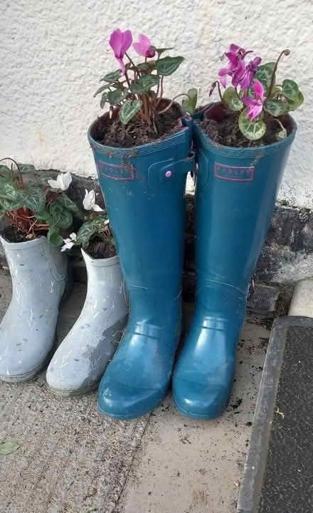 Photo of Wellies! Happy to take any unwanted wellies off your hands. (Downswood ME15) #1