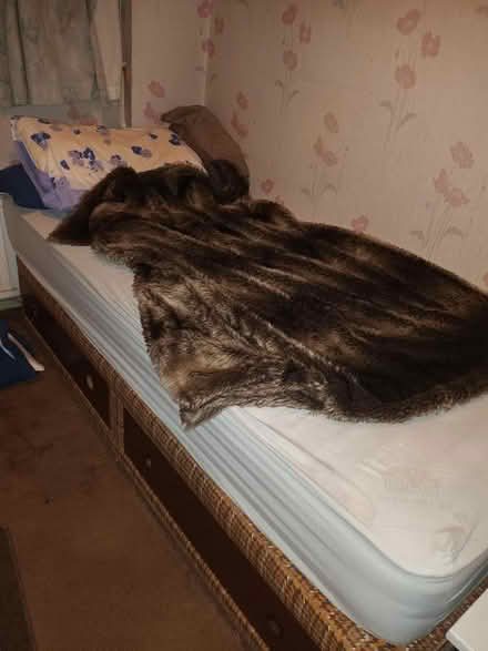 Photo of free Divan bed with mattress (Bradbourne Lakes TN13) #1