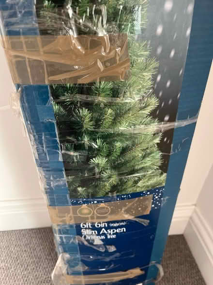 Photo of free Christmas tree (Bexleyheath) #2