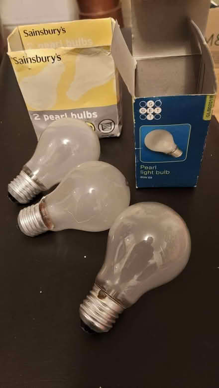 Photo of free Filament light bulbs (60W) Pearl screw fitting (New Hinksey OX1) #1