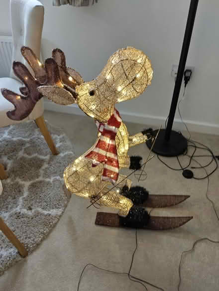 Photo of free Light up Skiing Moose (Atherstone) #1