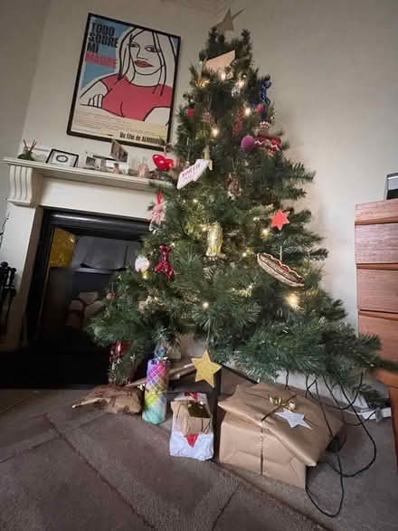 Photo of free Christmas tree. (Crouch End N8) #1