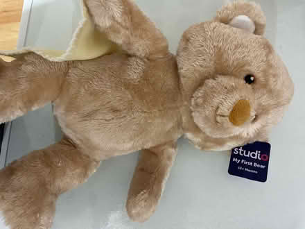 Photo of free NEW teddy and book (Roehampton. SW15) #2