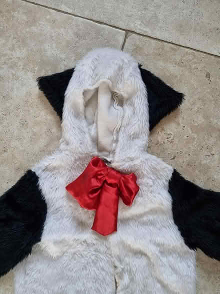 Photo of free Kids fancy dress outfit panda (CM2 springfield, chelmsford) #3